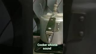 pressure cooker whistle sound short video [upl. by Encratis728]