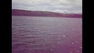 Trip from Cromarty Black Isle to Nigg over the Cromarty Firth watching the Dolphins [upl. by Salomon]