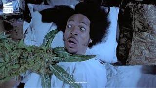 Scary Movie 2 Shorty gets smoked by his own weed HD CLIP [upl. by Wavell282]