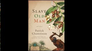 Book Review  Slave Old Man [upl. by Nodarb]