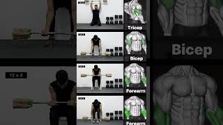 Best Home Workout To Build Muscle Full Body 🔥أفضل تمارين الذراع في المنزل [upl. by Sadowski]