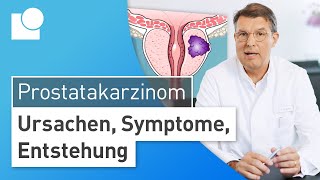 Prostatakarzinom einfach erklärt Entstehung Symptome amp Risikofaktoren  Prostatakrebs [upl. by Wistrup33]