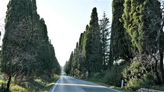 Bolgheri il viale dei cipressi più bello del mondo  Toscana [upl. by Gniw]