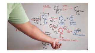 Reactions of PyridineNOxide [upl. by Aehsel]