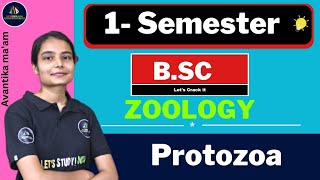 Protozoa  Bsc Zoology 1st Semester  Avantika Maam [upl. by Amsirp]