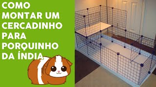 Cercado para Porquinho da Índia Como Montar  Tutorial [upl. by Shere]