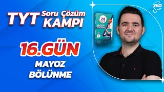 Mayoz Bölünme Soru Çözümü  21 Günde TYT Biyoloji Kampı16 [upl. by Berk]