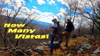 Hunting Purple Lizards from the Best Campsite in Rothrock State Forest [upl. by Navi163]