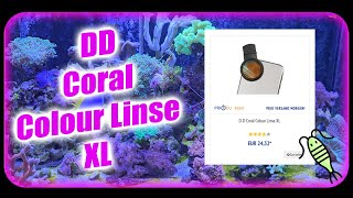 Meerwasser am Sonntag  DD Coral Colour Linse XL  Empfehlung  keine Werbung [upl. by Enohs5]