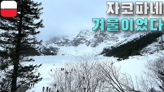 【🇵🇱폴란드2】 폴란드인 최애 휴양지 자코파네 폴란드⎮Zakopane [upl. by Armitage619]