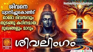 മനോഹരമായ ശിവഭക്തിഗാനങ്ങൾ  Shiva Devotional Songs Malayalam  Hindu Devotional Songs Malayalam [upl. by Quince]