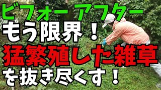 猛暑の夏に大繁殖した雑草を抜きまくり！／弟に退職勧告が来た！音声ナレーション入り。ひたすら雑草を抜きまくった動画と、原因不明の痺れで休職中の弟に「辞めてほしい」と所長さんから電話が来たお話です。 [upl. by Malley514]