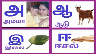 தமிழ் உயிரெழுத்துகள்Quiz1Lesson 15 RevisionTamil Alphabetsஅ ஆ இ ஈTamil learning [upl. by Kenlay]