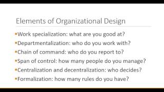 Principles of Management Organizational Design [upl. by Idnem]