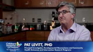 Pat Levitt PhD SimmsMann Chair in Developmental Neurogenetics [upl. by Stearns]