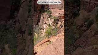 Zion Canyon Campground nationalpark campingcollective rvlife zionnationalpark utah travel [upl. by Celio]