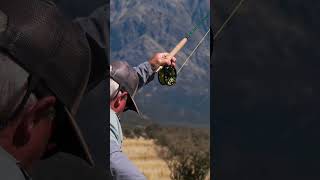 Fly Fishing for Trout in New Zealand [upl. by Mahau]