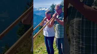 alphorn swizz Switzerland playing traditional mountain instrument [upl. by Cleodal]