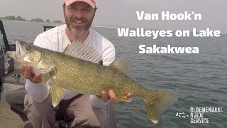 Van Hookn Walleyes on Lake Sakakawea [upl. by Ahsenyl668]