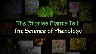 The Stories Plants Tell The Science of Phenology [upl. by Asirram874]