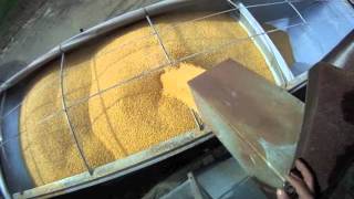 Loading Semi Hopper Bottom with Corn and Hauling to Ethanol Plant 1132011 [upl. by Ythomit]