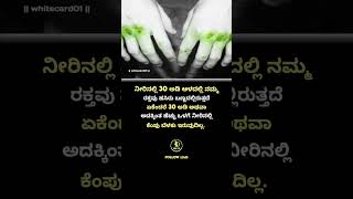 interestingandamazingfactsinkannada kannadakategalukannadakathe [upl. by Cloris]