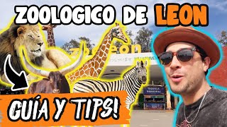 ASÍ es el ZOOLÓGICO de LEÓN GUANAJUATO 🦁🦒🇲🇽 Costos Guía COMPLETA ✅ [upl. by Zenas]