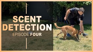 How to Teach Your Dog Scent Detection Ep 4 [upl. by Saxela]