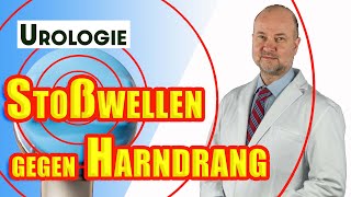 Harndrang bei Prostatavergrößerung mit ESWT behandeln  Urologie [upl. by Lallage300]