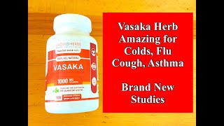 Vasaka Herb Amazing for Colds Flu Cough Asthma  Brand New Studies [upl. by Bendick]