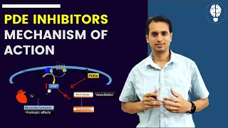 Phosphodiesterase PDE Inhibitors  Mechanism of action of PDE Inhibitors  Anti CHF drugs [upl. by Gilli]