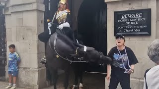 Tourist faints after horse bite thekingsguard [upl. by Mcdonald888]