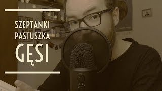 Najpiękniejsze baśnie braci Grimm  Pastuszka gęsi  Bajka na dobranoc  ASMR po polsku [upl. by Ihcur900]