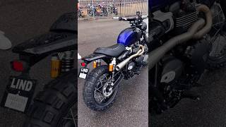 2024 Triumph T100 Custom Scrambler Hitchcox Full System Exhaust Sound triumph t100 customtriumph [upl. by Clayberg345]