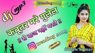 yaar tera khalnayak  kabutar mare gulel se remix rohit sardana  hariyanvi song trendingsong [upl. by Kopp57]