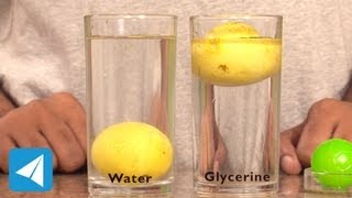 Lemon sinks in water but floats on Glycerine  Density  Physics [upl. by Enelkcaj]