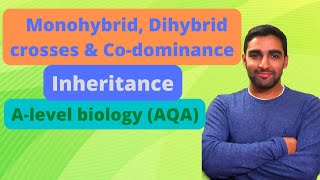 INHERITANCE  AQA A LEVEL BIOLOGY  EXAM QUESTIONS RUN THROUGH [upl. by Irina]