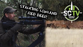 Shooting amp Country TV  Deer management with Chris Rogers 5  Lowland red deer management [upl. by Tenaej]