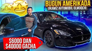 BUGUN AMERIKADA UKAMIZ AVTO OLMOQCHI [upl. by End]