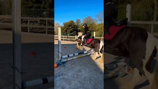 Ik heb gisteren weer GESPRONGEN op Joey😁🐴 horse showjumping equestrian [upl. by Ikkim]