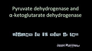 Pyruvate dehydrogenase and Alpha ketoglutarate dehydrogenase [upl. by Risan]