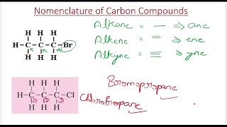 Nomenclature  Carbon and its Compounds  Chemistry class 10  Ncert  Aim 2025 🔥 [upl. by Ecnarwal]