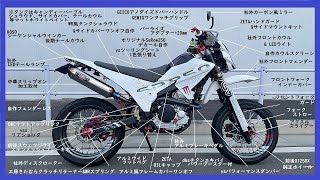 【モトブログ】SEROW250 モタード化 カスタム紹介 セロー250 [upl. by Anoval252]