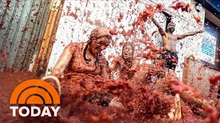 Tomatina Tomato Festival Makes Roaring Comeback In Spain [upl. by Aushoj]