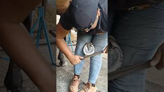 Hoof kating and finishing video Full satisfy sabscribs trendingshorts [upl. by Ubald]