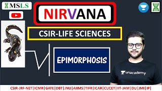 DEVELOPMENTAL BIOLOGY  EPIMORPHOSIS  part 4  csir iitjam aiims dbtjrf [upl. by Huckaby]