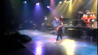 REO Speedwagon  Roll with the changes live video [upl. by Haskins]