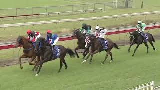 Wauchope 19 10 2024 Race 1 [upl. by Glassco]