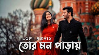 Tor Mon Paray তোর মন পাড়ায়  Mahdi Sultan  Bangla LoFi Song [upl. by Ahsit]