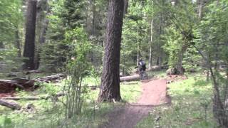 The Rim Trail  Cloudcroft NM  June 2014 [upl. by Yztim]